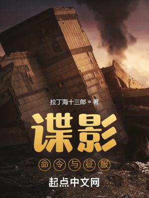 谍影命令与征服笔趣阁txt