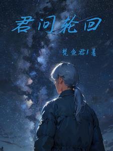 轮回与君诀
