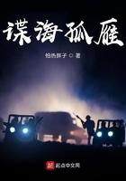 谍海孤雁TXT百度
