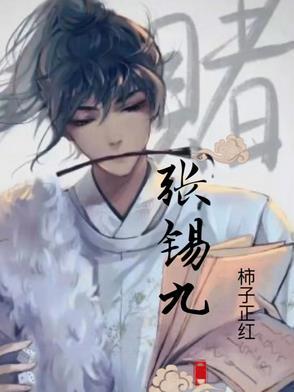 张锡九哪一年聊城副专员